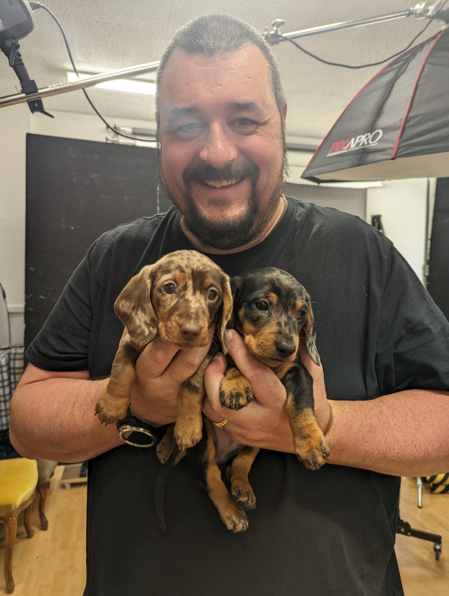 Bob Foyers, The Sausage Dog Photographer, with a litter of sausage dog puppies